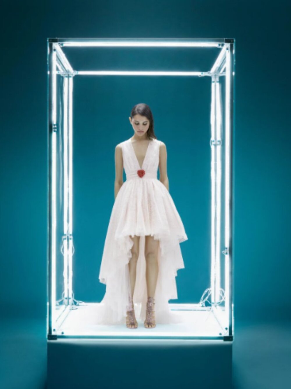 NWT Lace High-Low H&M x Giambattista Valli Dress